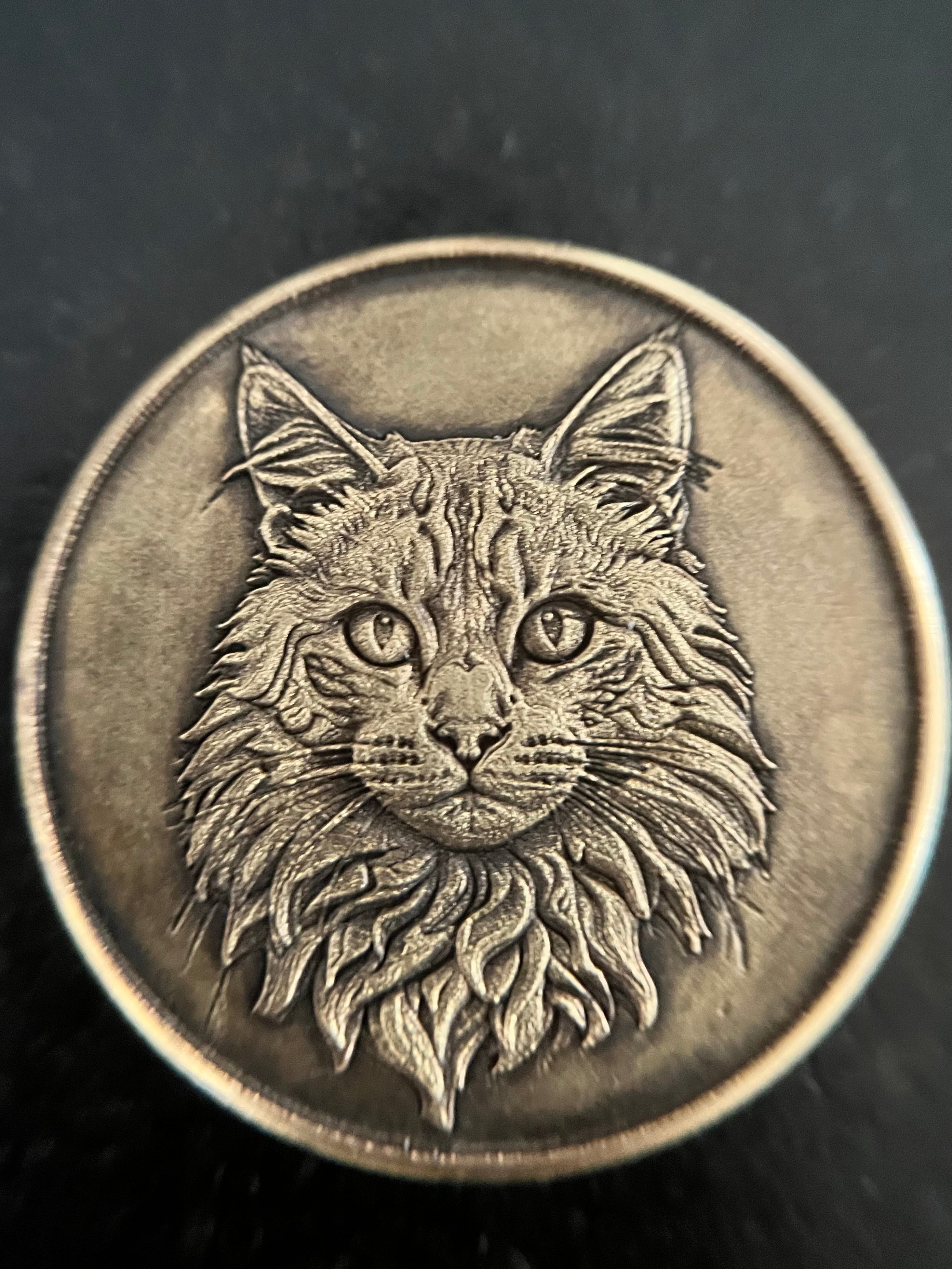 Pièce de laiton 40 mm personnalisée – gravure sur mesure (personnage de jeu, animal, évènements)